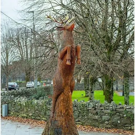 Chapel Place, Town Centre شقة