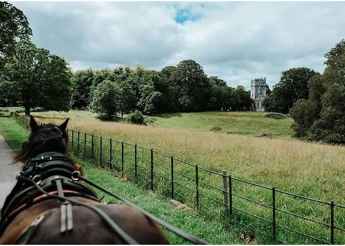 Chapel Place, Town Centre アパート キラーニー