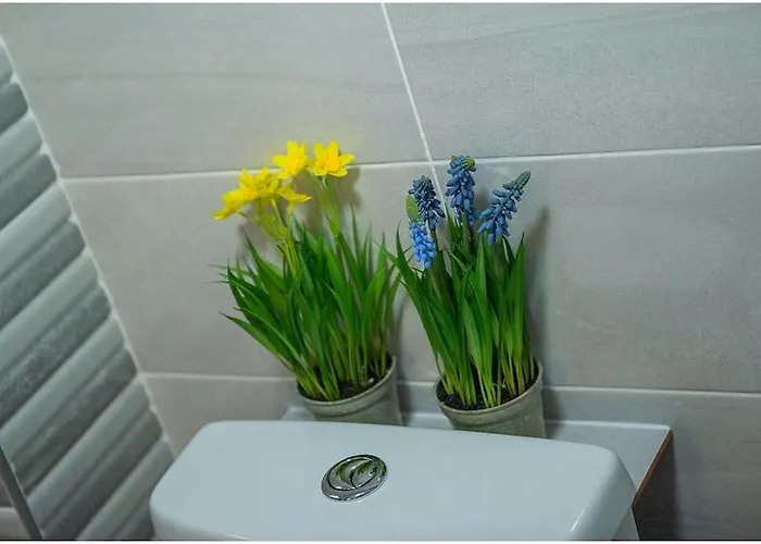 Chapel Place, Town Centre * קיל איירן